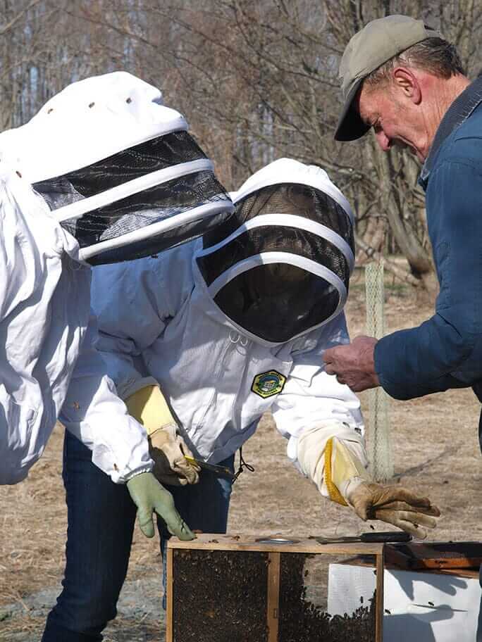 Buying Bees