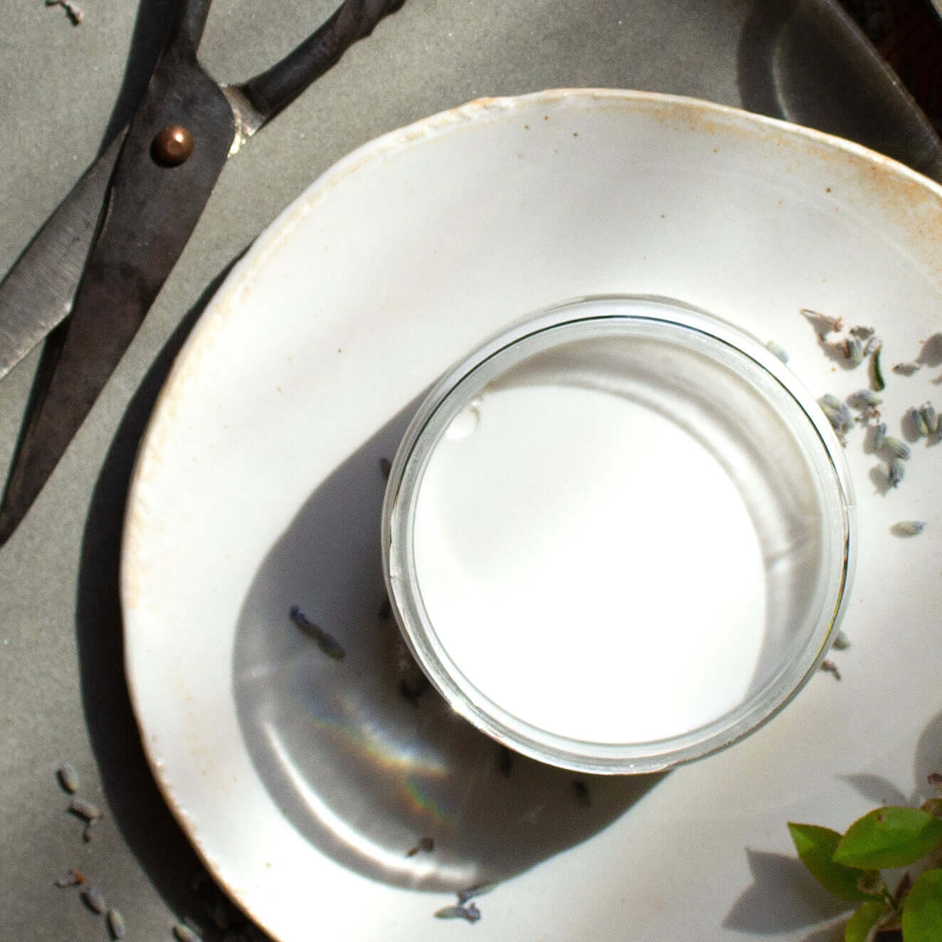 Honey Body Butter