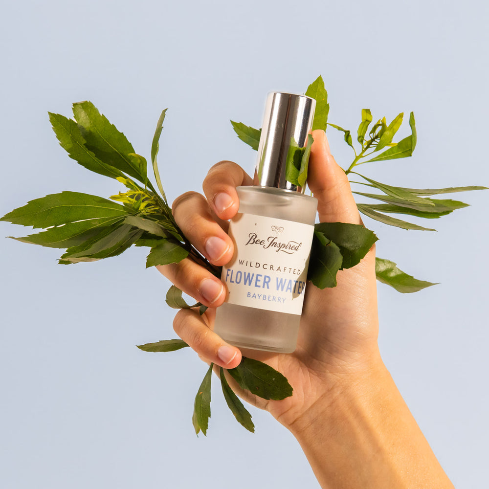 hand holding bayberry leaves and bayberry leaf flower water