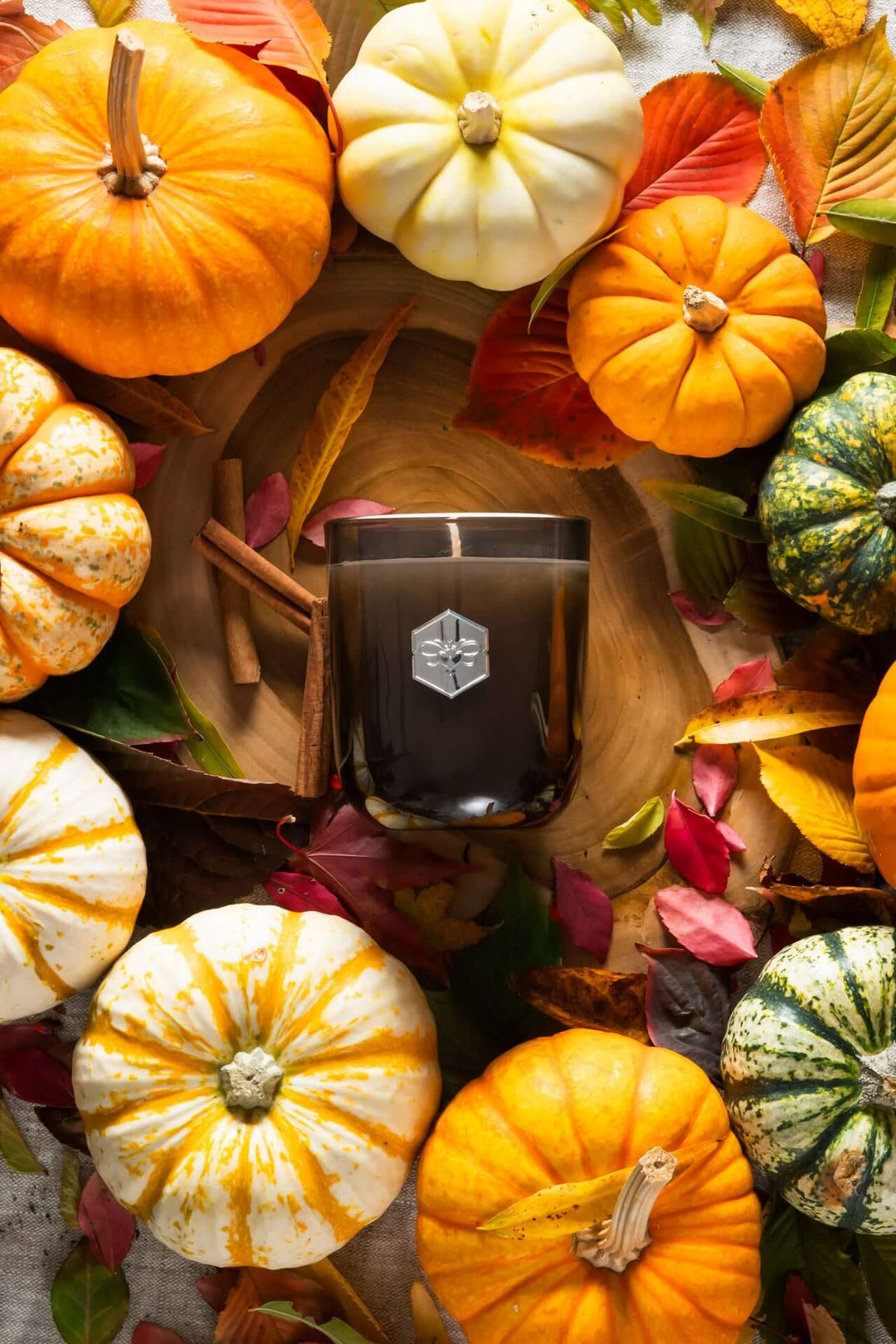 Autumn Harvest Luxe Candle from bee inspired honey retail store in owings mills surrounded by pumpkins