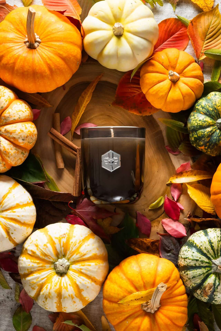 Autumn Harvest Luxe Candle from bee inspired honey retail store in owings mills surrounded by pumpkins