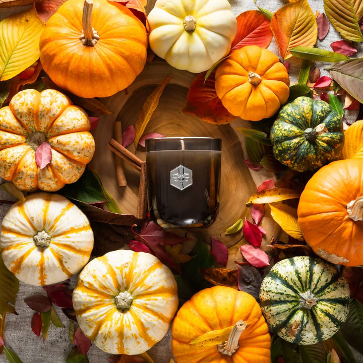Autumn Harvest Luxe Candle from bee inspired honey retail store in owings mills surrounded by pumpkins and fall ingredients