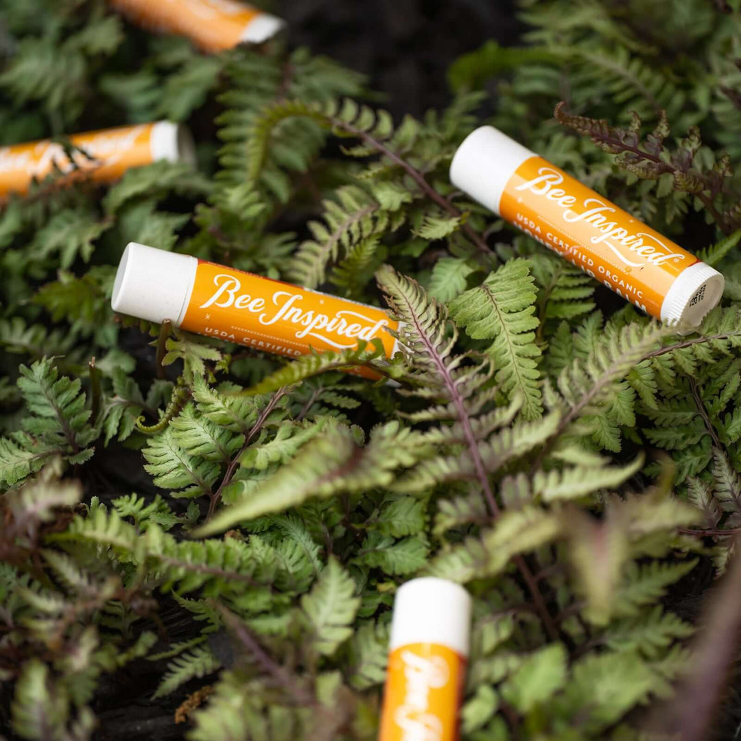 Honey lip balm on ferns