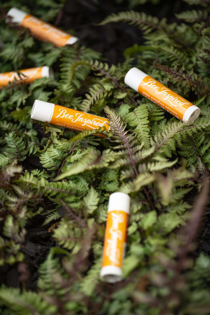 Honey lip balms on ferns