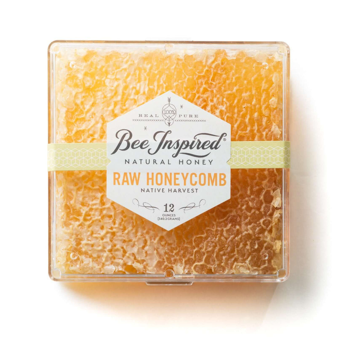 Raw honeycomb on white