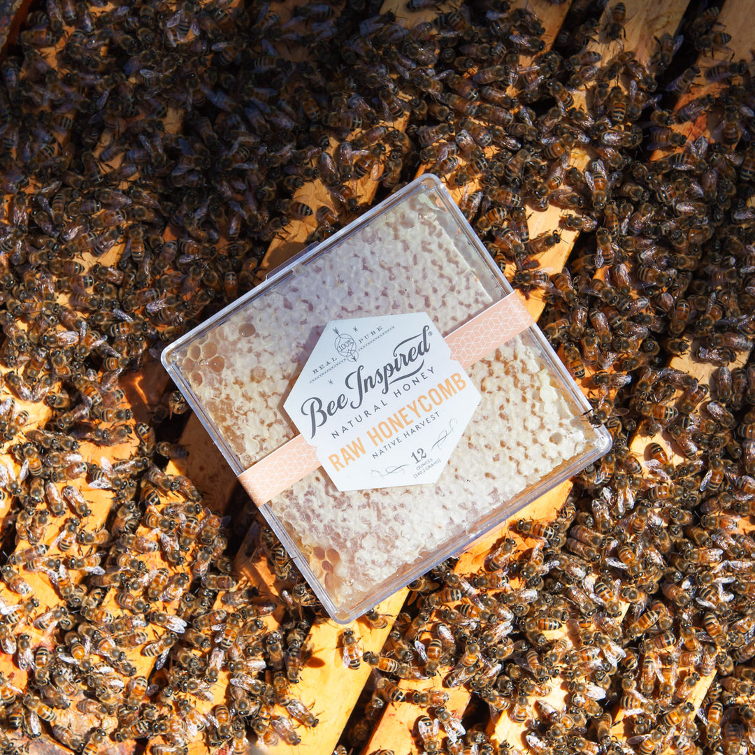 raw honeycomb on a beehive
