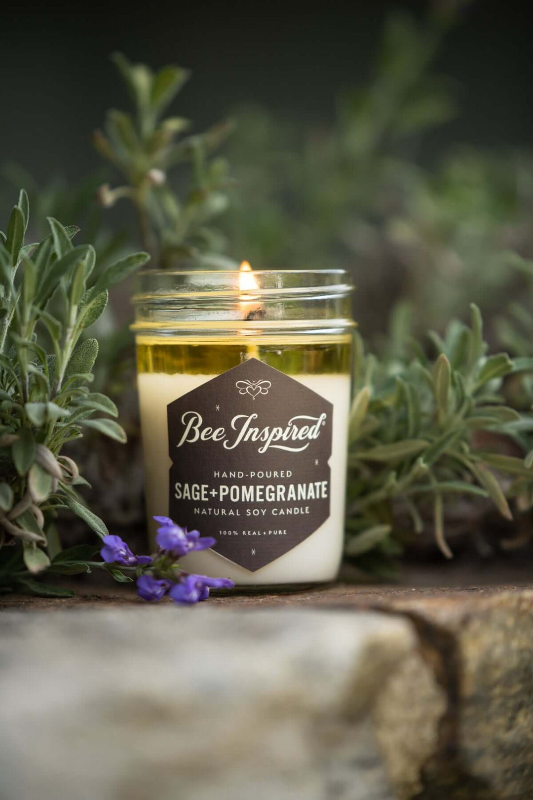Sage+Pomegranate jelly jar candle burning in front of sage