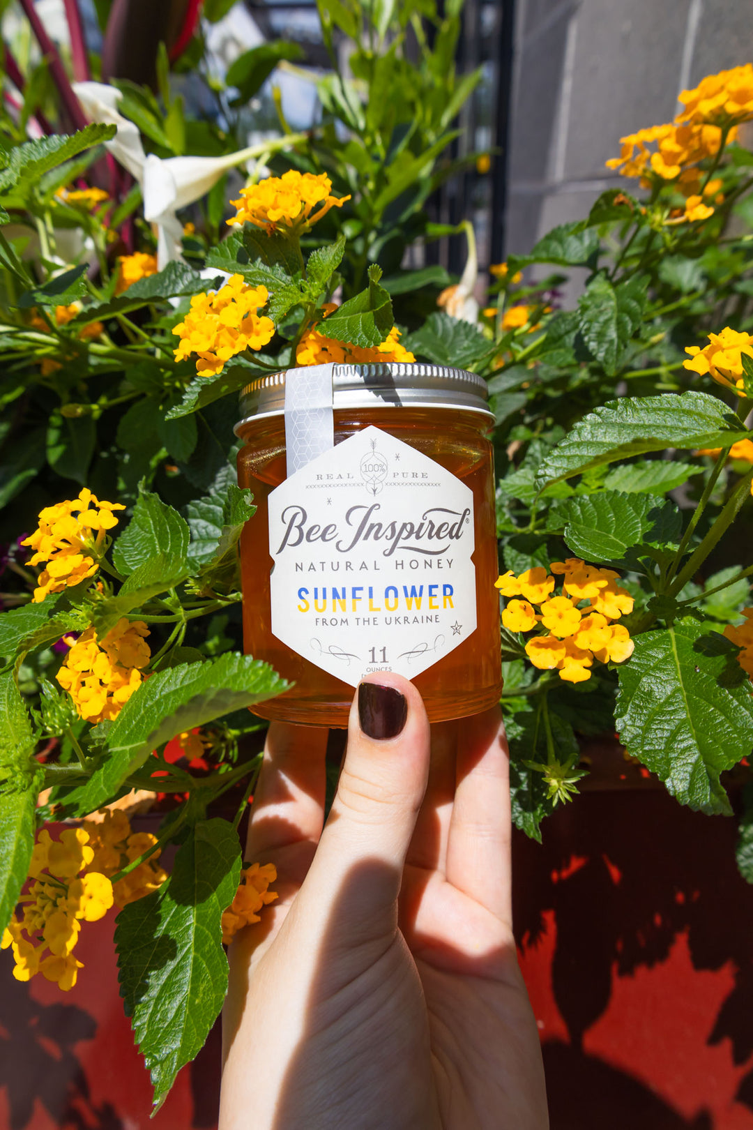 holding Ukrainian sunflower honey in front of yellow flowers