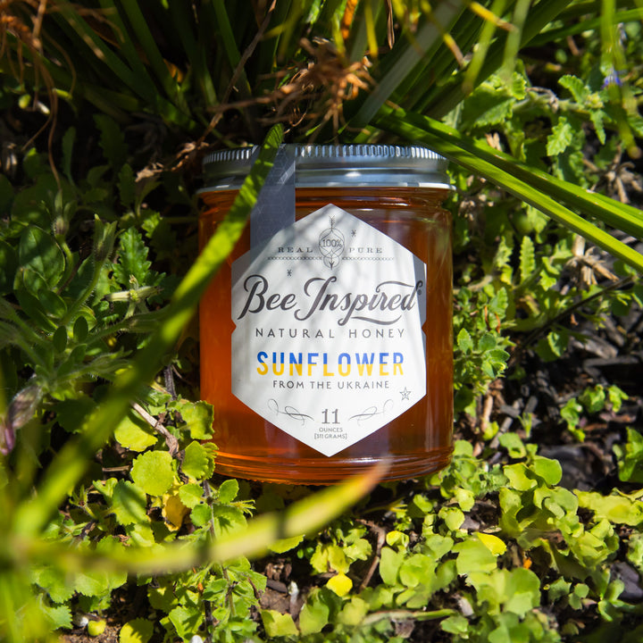 jar of Ukrainian sunflower honey in nature