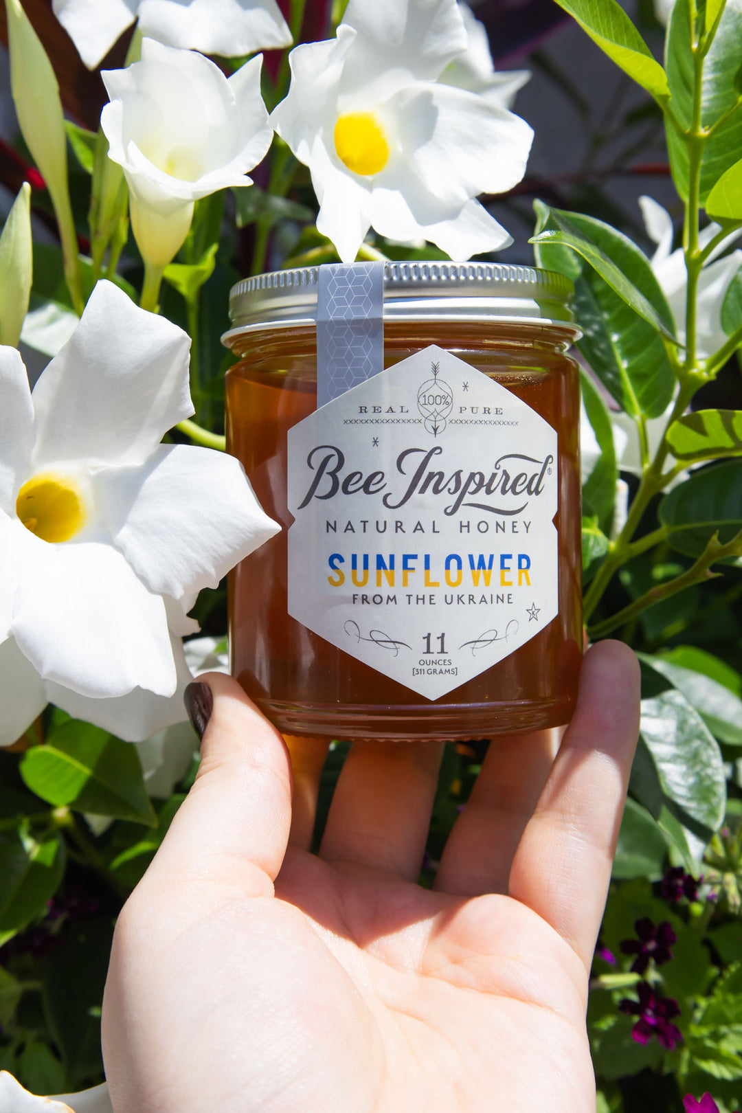 holding Ukrainian sunflower honey in front of white flowers