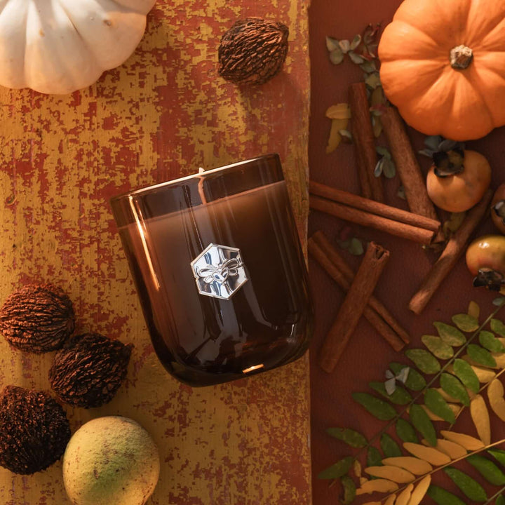 Autumn Harvest Luxe Candle from bee inspired honey retail store in owings mills with walnuts pumpkin persimmons and fall foliage