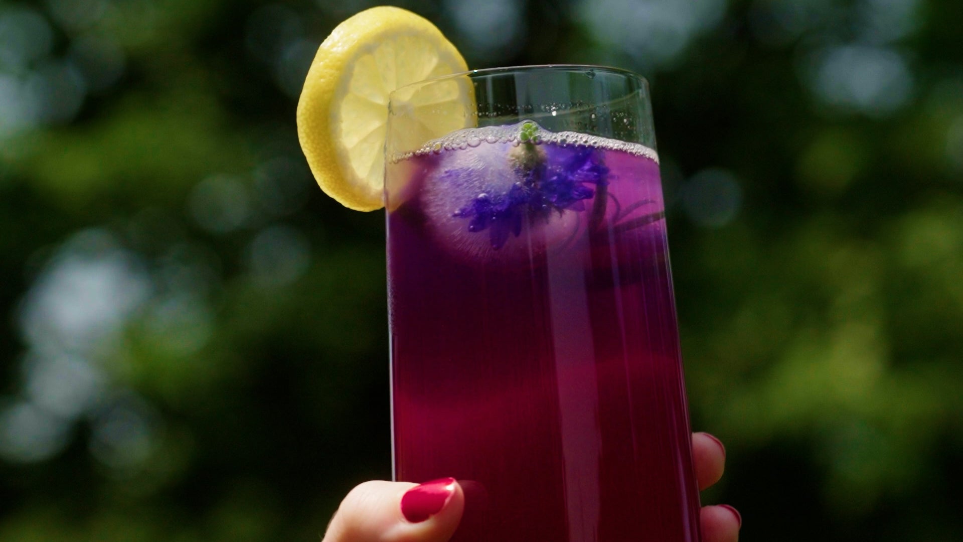 Butterfly Pea Tea Lemonade Soda with lemon wedge