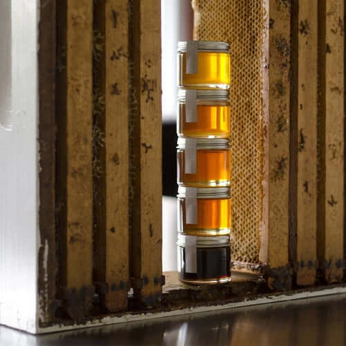 Types of Honey: A Complete Guide to Honey Varieties, Flavors & Colors