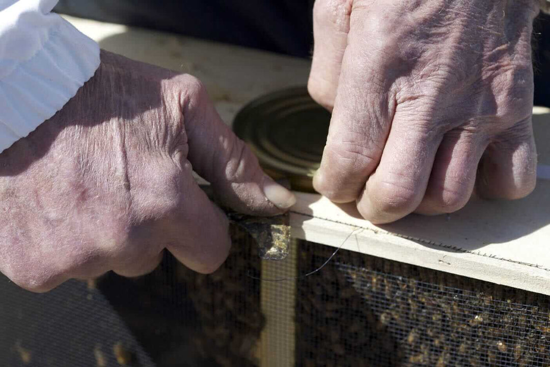How to Install Package Bees: A Beginner’s Step-by-Step Guide