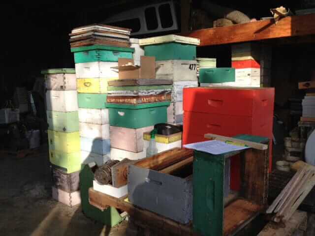 Preparing for the Bees 2013