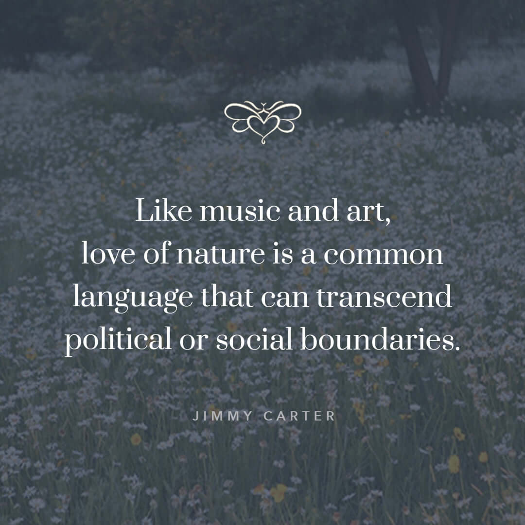 Jimmy Carter Quote