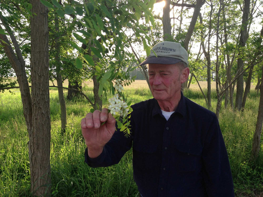 In Honor of Dale Large, Beekeeping Mentor
