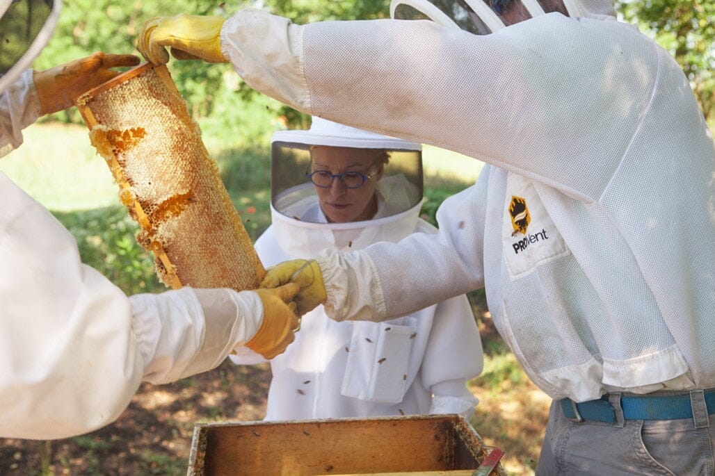 Eastern Shore Life | The Joy of Harvesting Honey