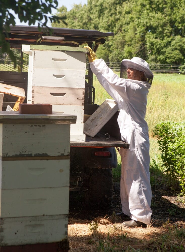 Eastern Shore Living | Bee Inspired Honey Harvest 2018