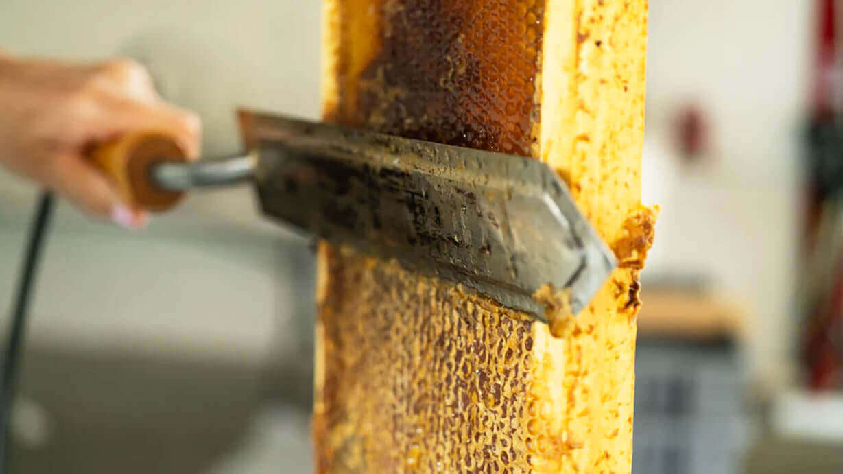 Is Honey Gluten Free? Get the Facts and Bee Inspired