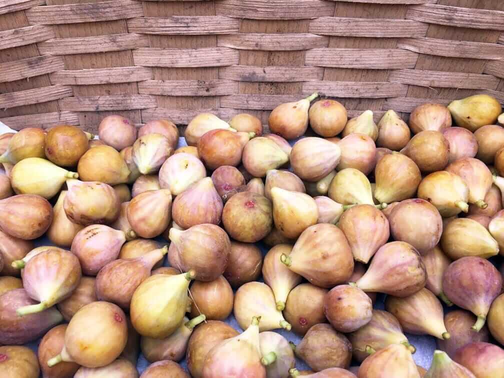 Fig Recipes with Honey