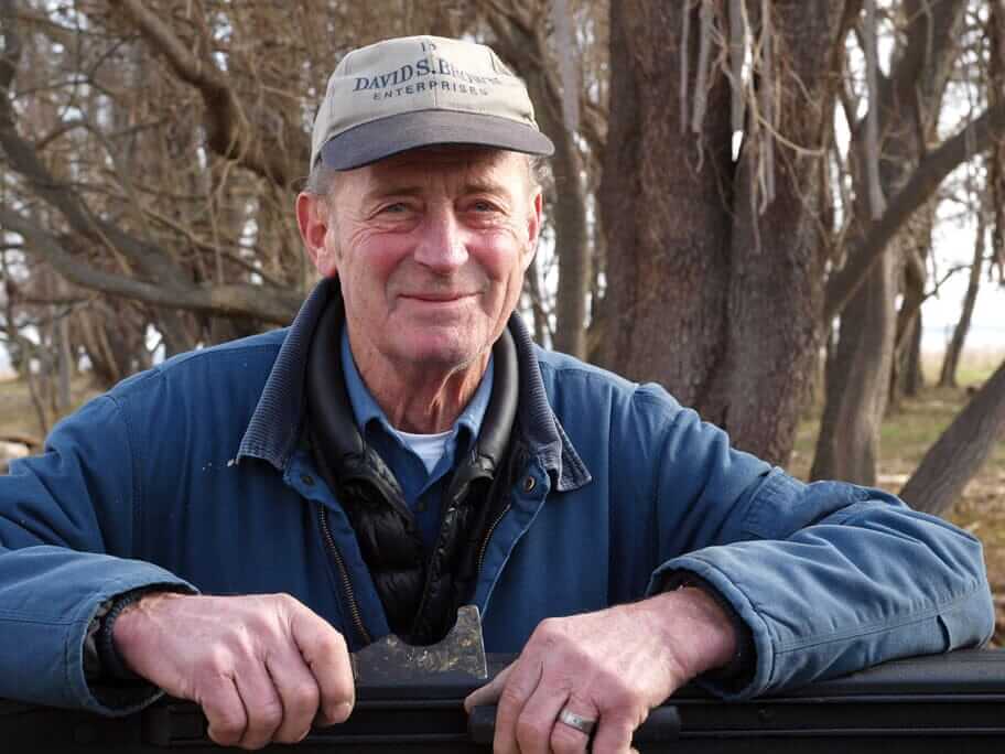 How Do I Set Up Hives?