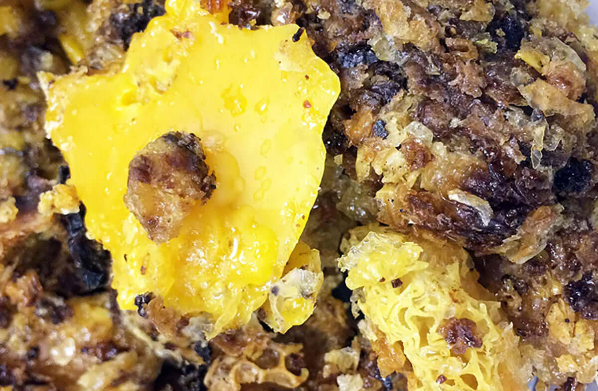 How to Filter Beeswax: What We Learned the Hard Way