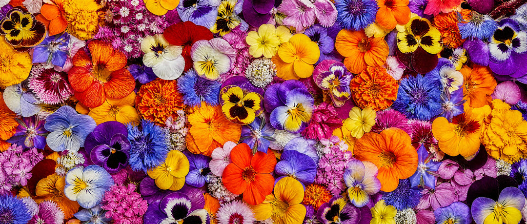 Cooking With Edible Flowers: Tips, Tricks, and a Few Things to Avoid