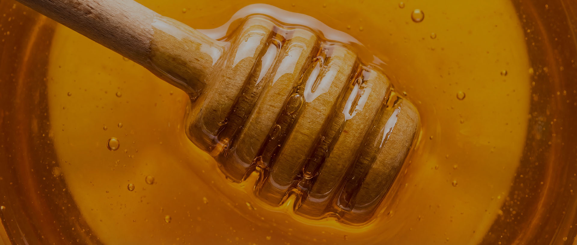 Raw Honey vs "Regular" Honey: Understanding the Sweet Differences