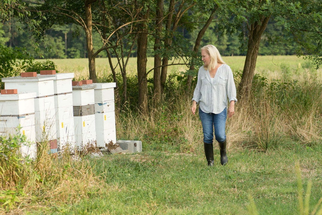 Telling the Bees: An Enduring Folklore Tradition