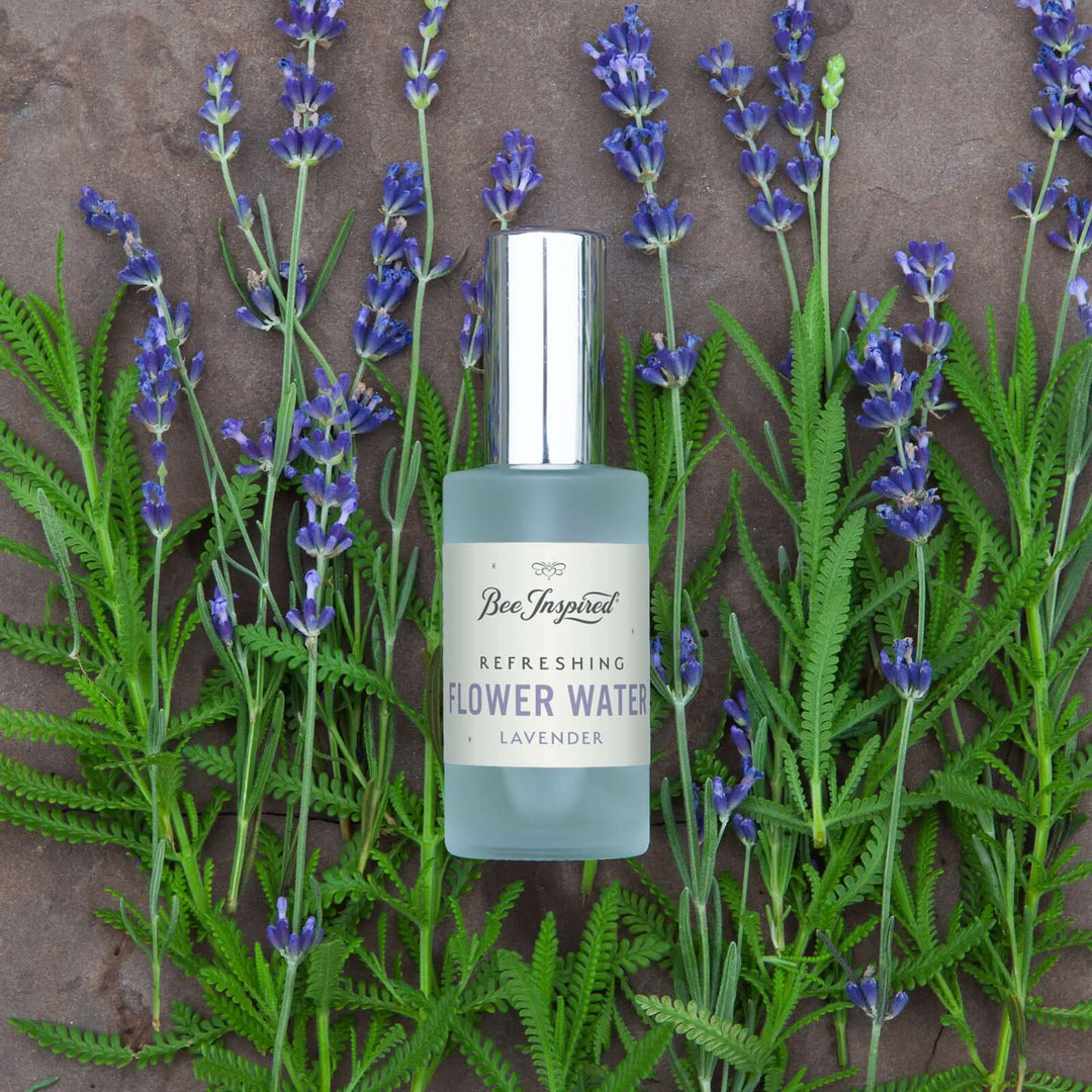lavender flower water Lavender Flower Water - Pure Hydrosol Spray
