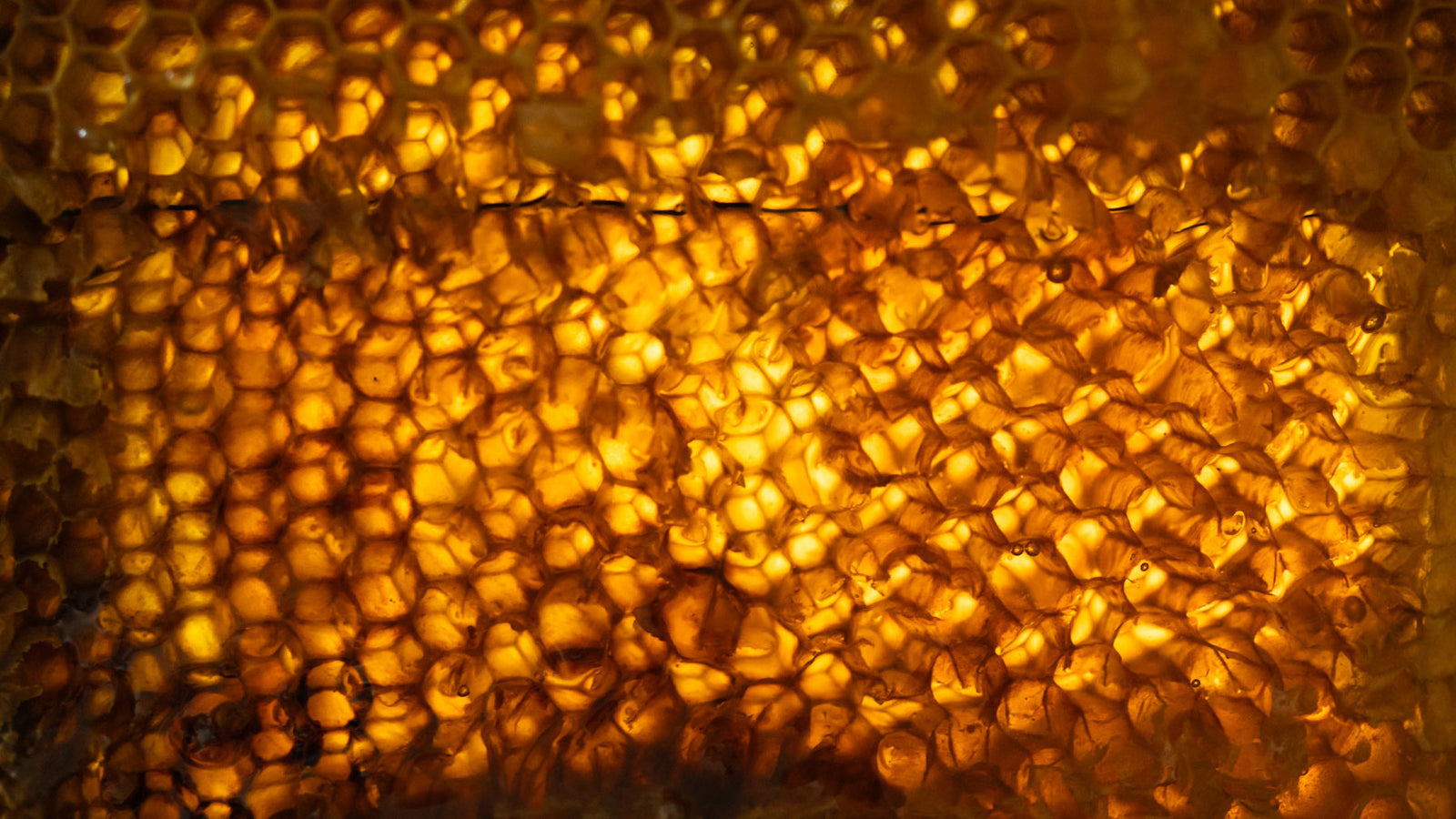 honeycomb