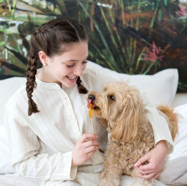 girl feeding a honey lollipop to her dog in bed