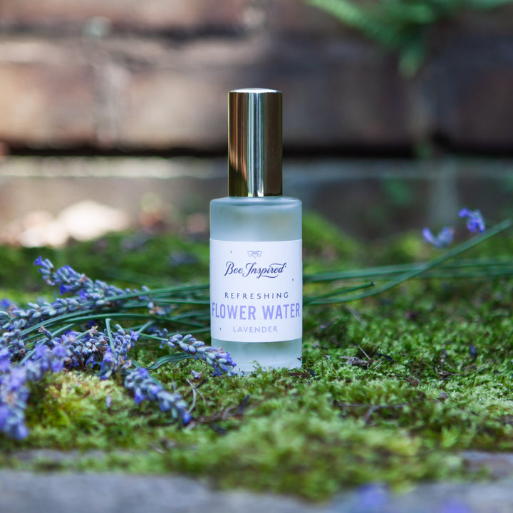 lavender flower water on a bed of moss with lavender