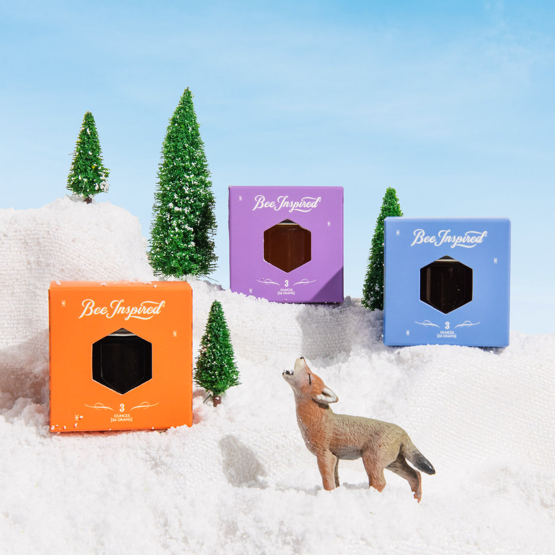 seasonal honey tasting trio on a winter set
