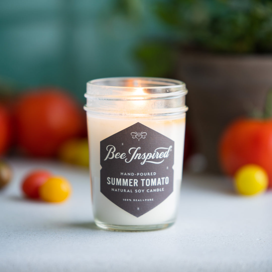 Summer Tomato jelly jar candle burning next to tomato plant 