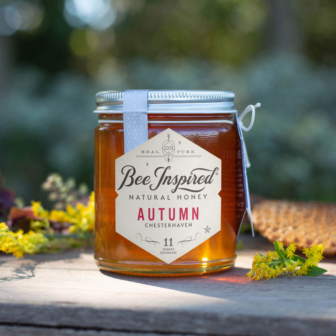 Autumn honey outside next to honeycomb 