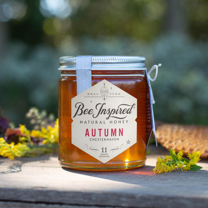 Autumn honey outside next to honeycomb 