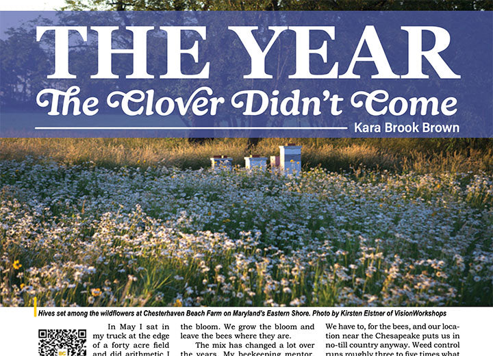 A magazine or newsletter page featuring a large photo of a clover field under a blue header that reads 'THE YEAR The Clover Didn't Come' by Kara Brook Brown, with a small inset photo of hives among wildflowers and a QR code.