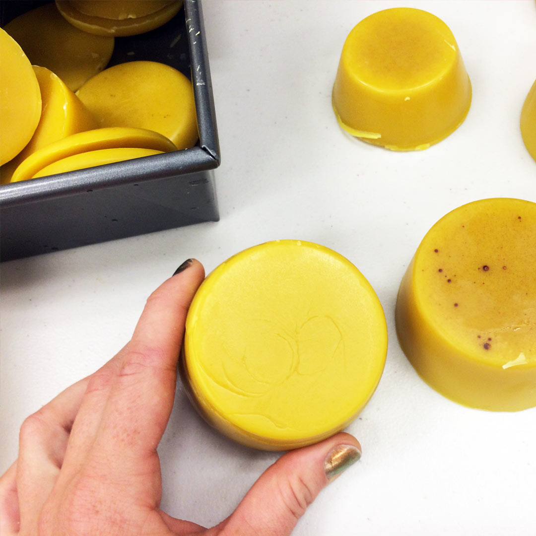 holding a disk of processed bees wax