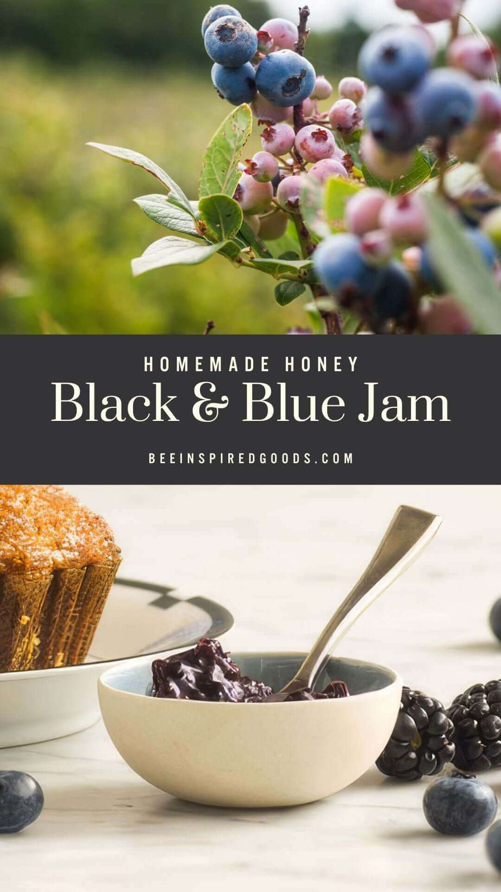 "homemade honey black and blue jam beeinspiredgoods.com" blueberries growing on a bush and a bowl of black and blue jam