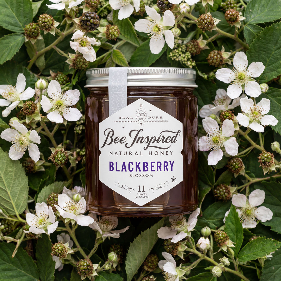 Jar of Bee Inspired Blackberry Blossom honey surrounded by blackberries and flowers