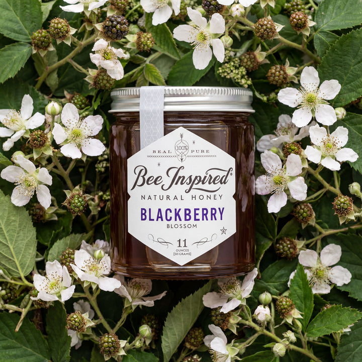 Jar of Bee Inspired Blackberry Blossom honey surrounded by blackberries and flowers