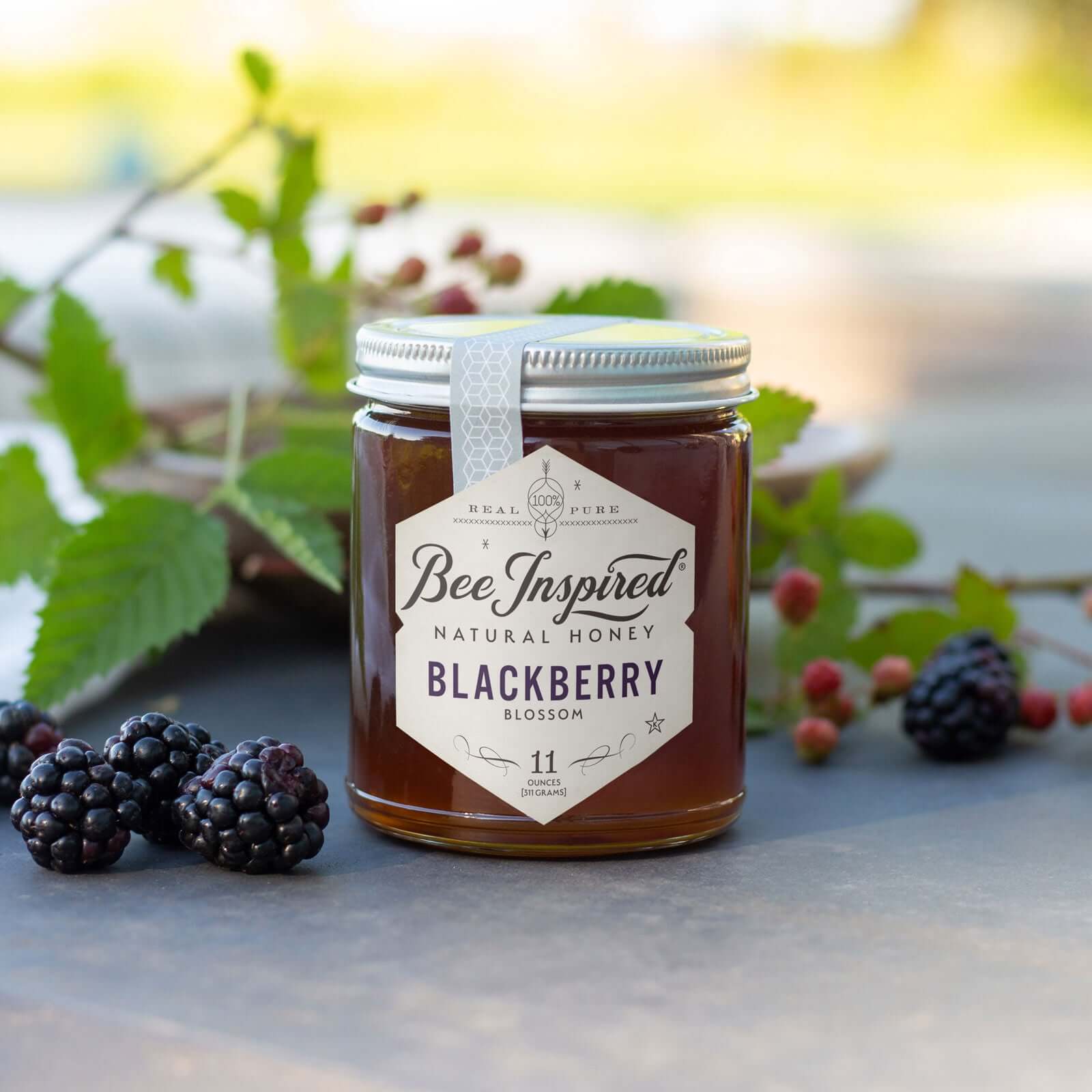 Pure Blackberry Blossom Honey - Raw & Kosher | Bee Inspired Goods