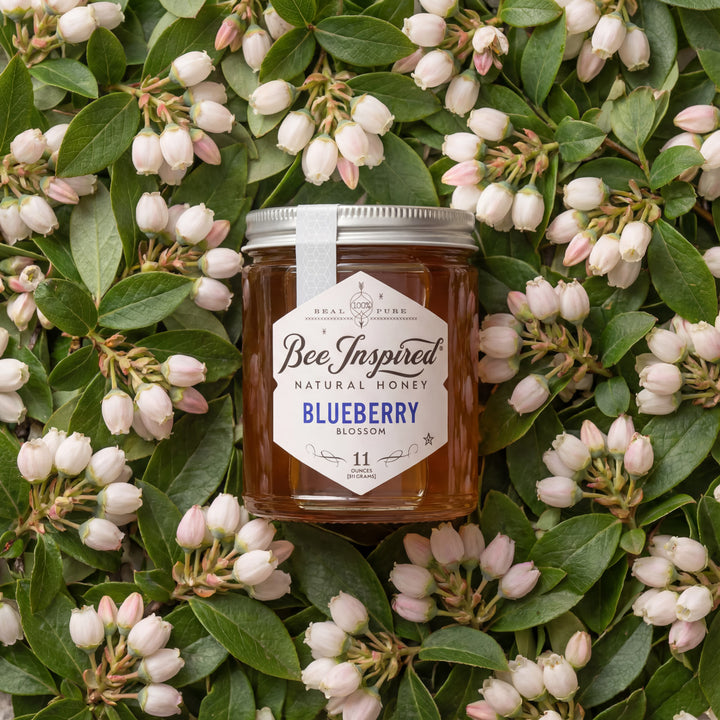 Jar of Bee Inspired natural honey surrounded by blueberry blossoms