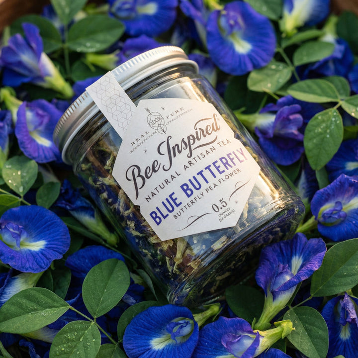 Jar of 'Bee Inspired' Blue Butterfly pea flowers surrounded by blue flowers and green leaves