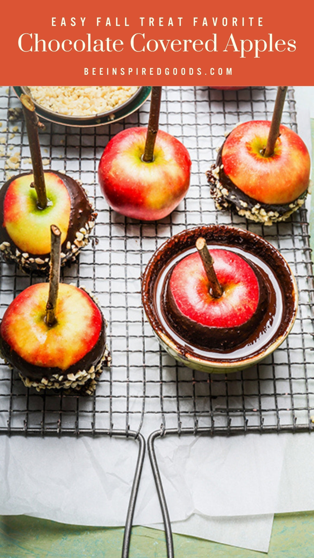 Chocolate covered apples on a cooling rack