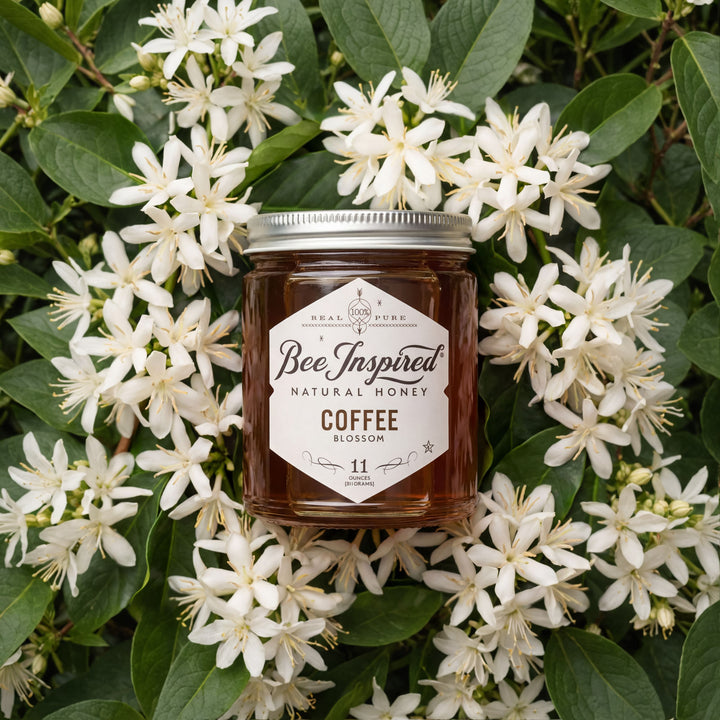 Bee Inspired natural honey jar with a label on coffee blossom flowers