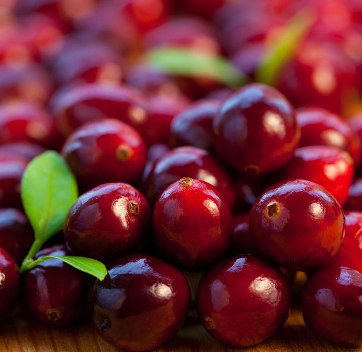 up close of a bunch of cranberries