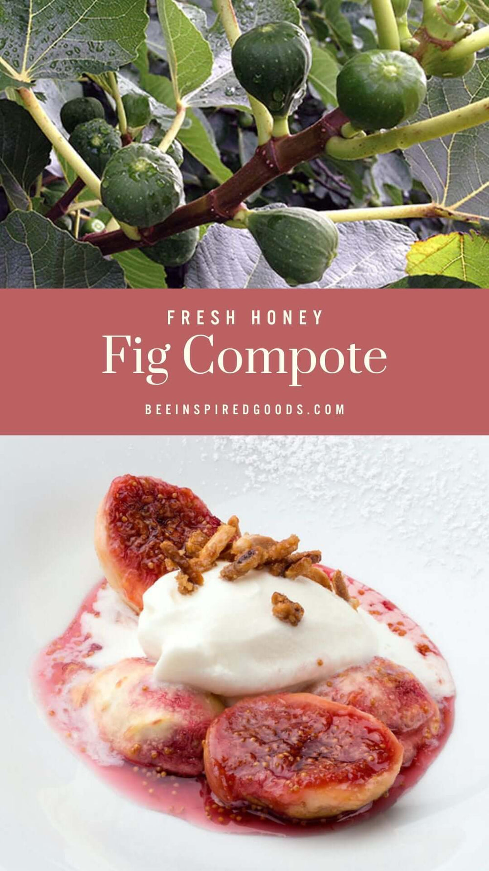 "Fresh honey fig compote" with figs growing on a branch and the ingredients to make fig compote